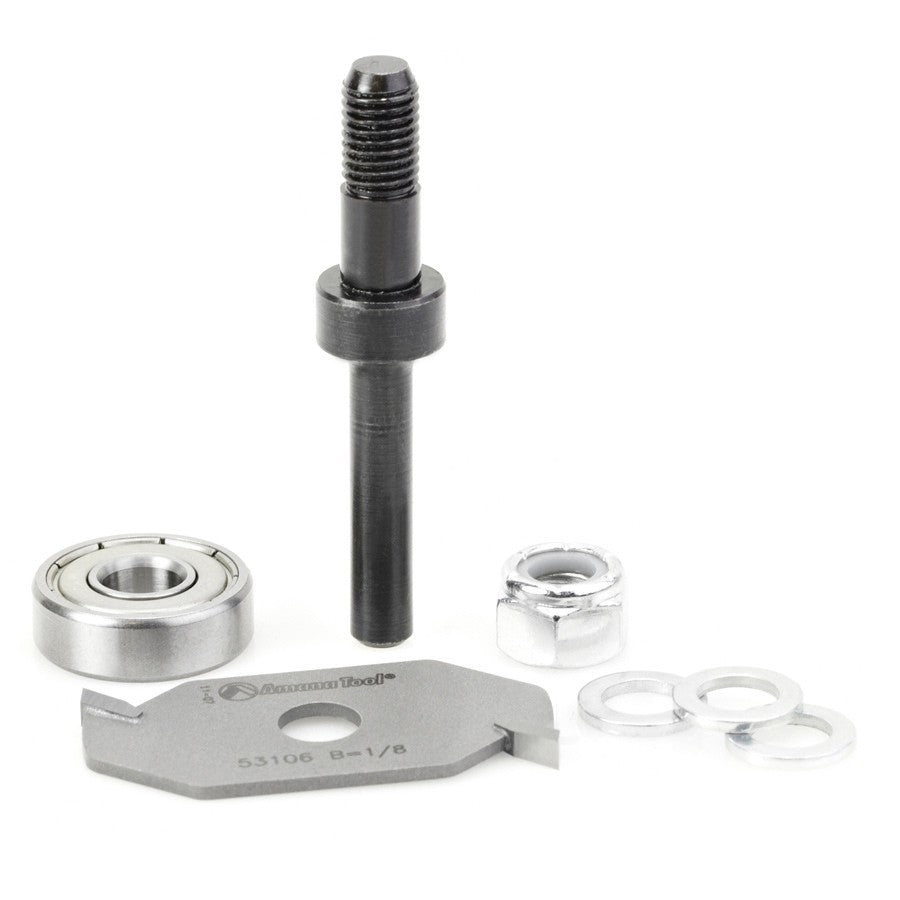 Amana Tool 53306 1/8 英寸槽口双翼刀头组件